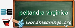 WordMeaning blackboard for peltandra virginica